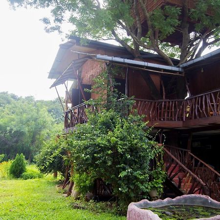 Anushka Nera Nature House Sigiriya Room photo