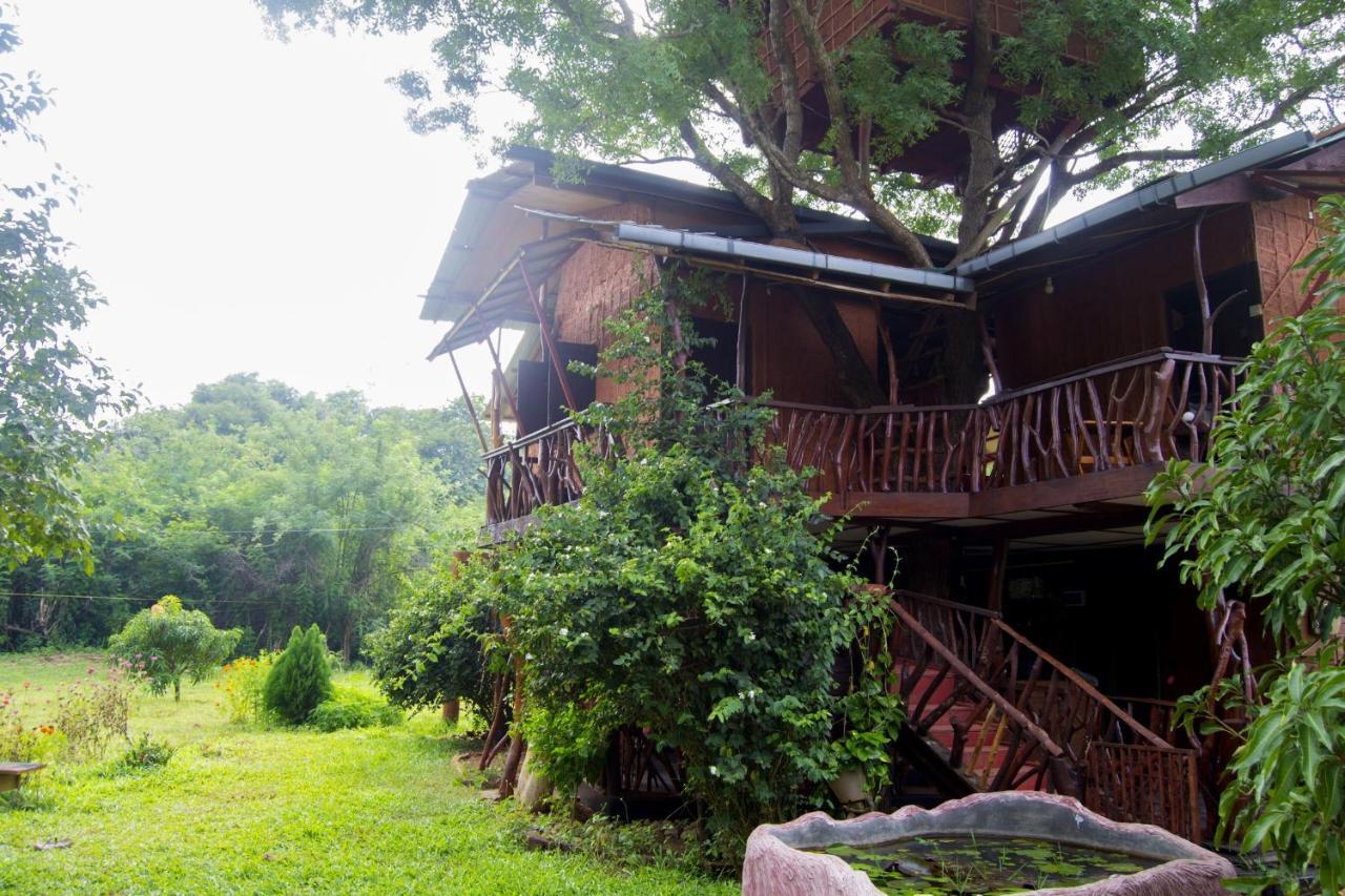 Anushka Nera Nature House Sigiriya Room photo