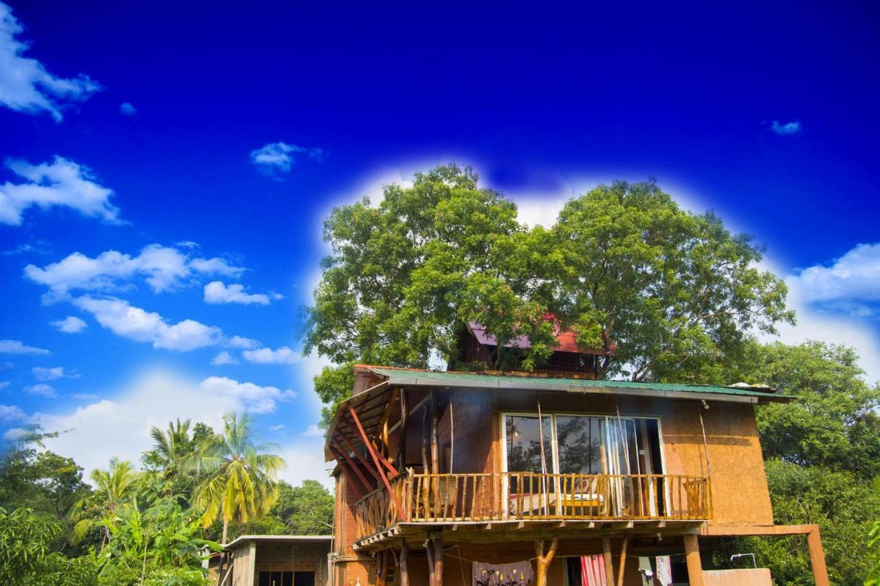 Anushka Nera Nature House Sigiriya Room photo